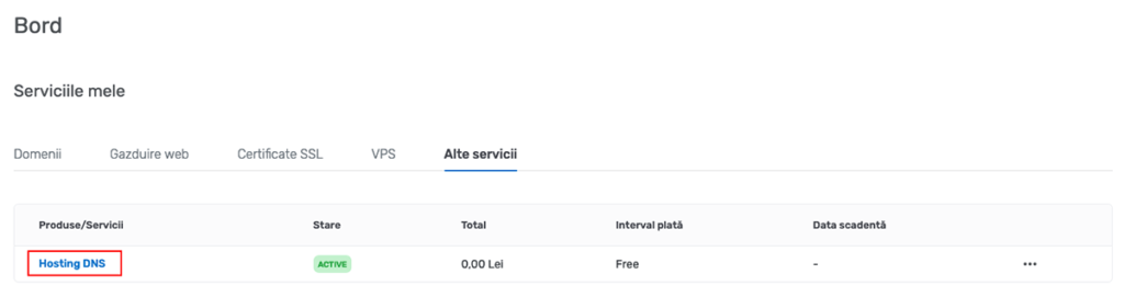 Activare Hosting DNS primul pas