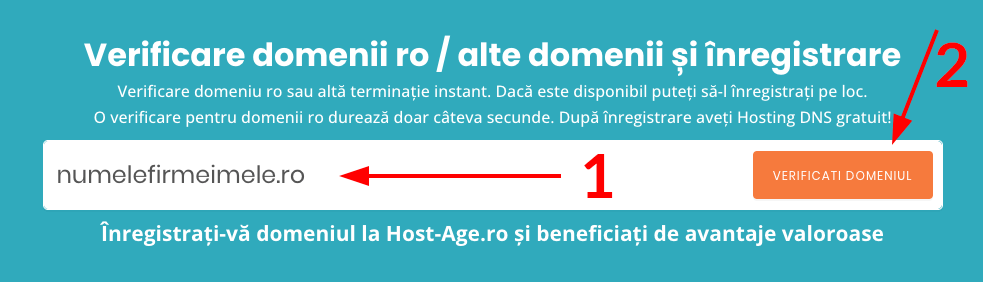 Verificare domeniu prin formularul online de înregistrare domenii.