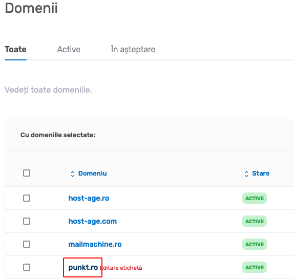 Alegerea domeniului pentru modificarea nameservere-lor
