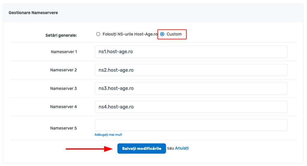 Pagina cu setarea nameservere-lor unui domeniu web