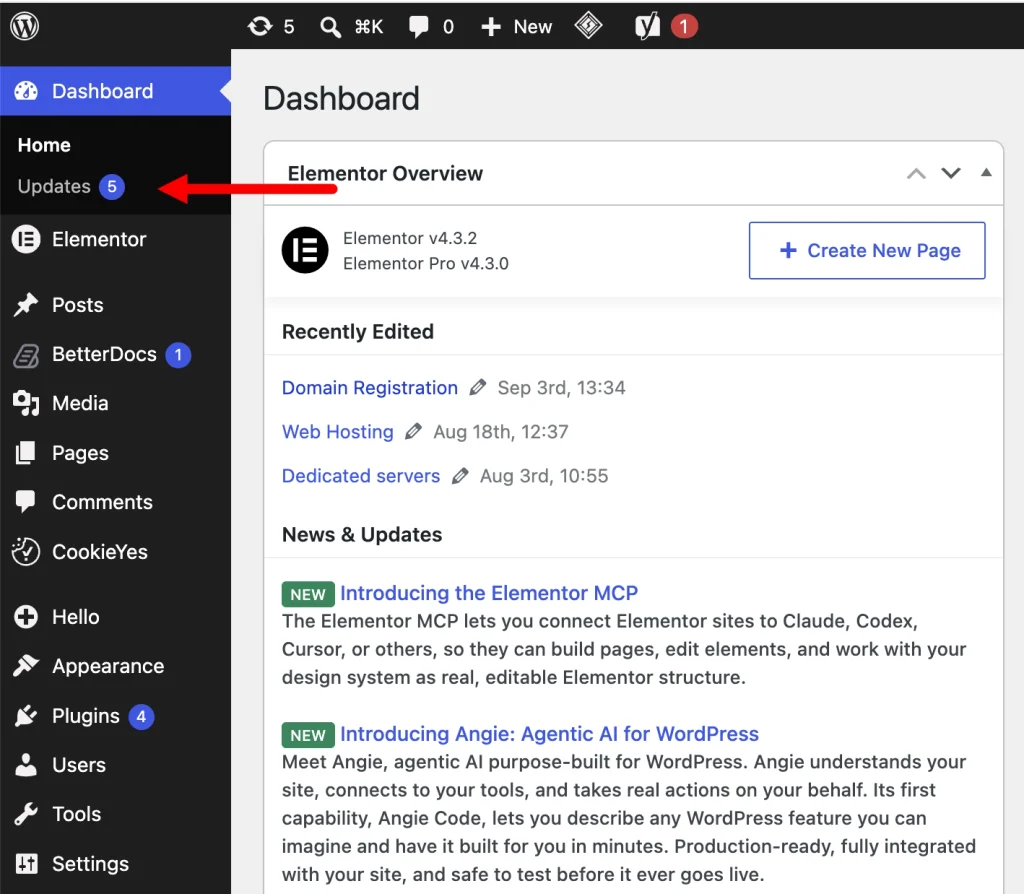 Update WordPress