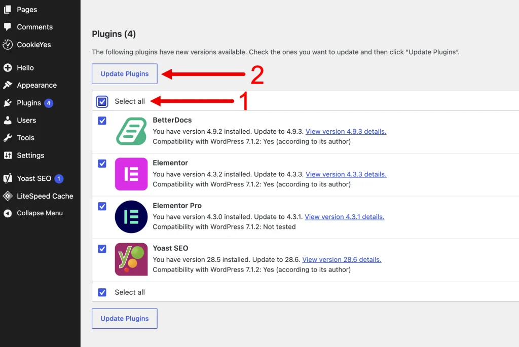 Update plugin-uri și teme în WordPress