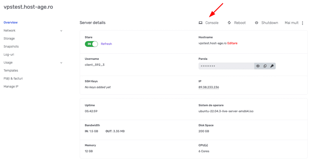 Accesare consolă server